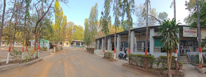 विद्यापीठ हायस्कूलबद्दल